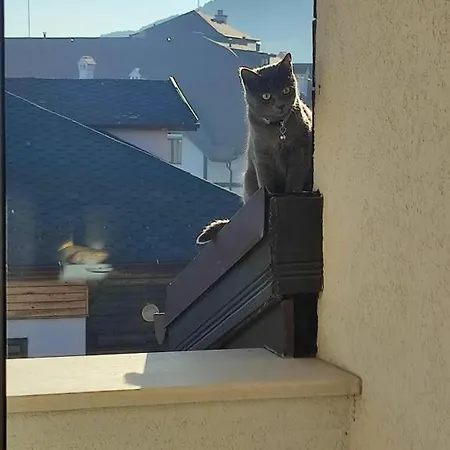 локация! * バンスコ